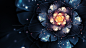 #flowers, #fractal art, <a class="text-meta meta-tag" href="/search/?q=fractals, ">#fractals, #</a>fractal flowers | Wallpaper No. 155398 - wallhaven.cc