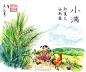 24节气：小满 ​​​​