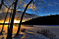 冬天风景, 树, 冬天, 性质, 冰, 对比, 冷, 雪, 加拿大, 魁北克省