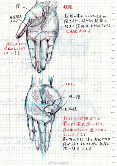 Gao13采集到手