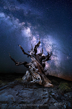 前凸后翘凸的是肚子采集到夜景手机壁纸