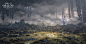 stage_004