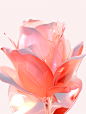 a 3D rose, in the style of 3D, C4d, vray material, on the white clear background
