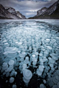 Photographer captures phenomenon in lakes of Banff National Park in Canada - Frozen Methane bubbles