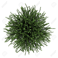 龇牙咧嘴的Mukaxi采集到素材