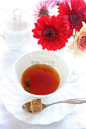 红糖,薄荷茶,红茶,垂直画幅,桌子,无人,饮料,仅一朵花,茶,下午茶