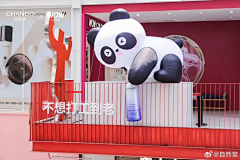 LUNE177采集到美陈快闪布置pop-up