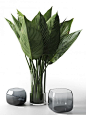 VWArtclub - Glass Vases With Leaves