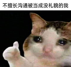 TFP2345采集到表情包