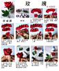 Pinterest / Search results for 折纸