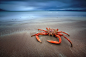 Rossbeigh Strand 
Kerry, Ireland