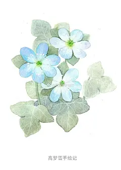 有点迟的早上好感觉最近起不来了太热啦#水彩手绘~每日一画~水彩插画# 水彩插画# ​​​​