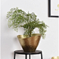 进口金色手工捶点金属花盆植物盆栽器皿装饰样板房软装新古典花器