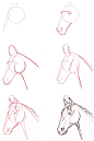 how to draw a horse's head -