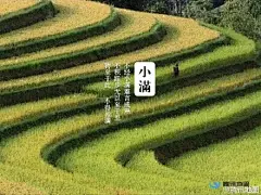 【24节气-小满】各大品牌借势营销闪屏及海报分享