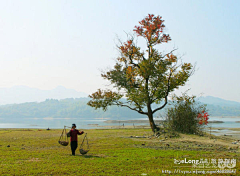 Weenylv采集到旅游-11月7日，到宏村农