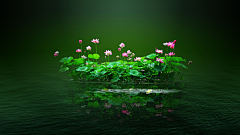 啓艷采集到花草、自然、风景