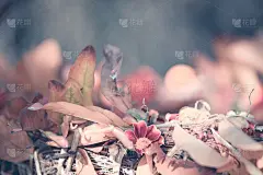 秋季手工制作的感恩节花环