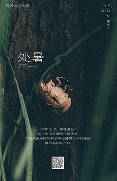 半杯莲子采集到处暑