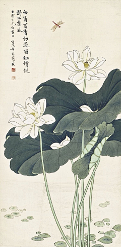 心上沈采集到素材