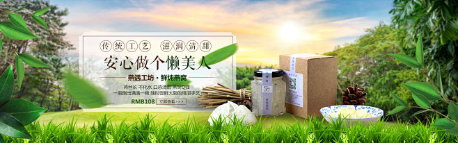 食品保健品燕窝绿色清新海报