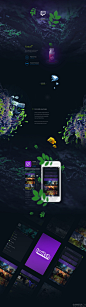 Twitch-视频游戏媒体平台-手机应用界面设计 