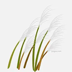 自然芦苇花手绘插画图片大小2000x2000px 图片尺寸705.59 KB 来自PNG搜索网 pngss.com 免费免扣png素材下载！草甸#草料#卡通手绘#芦苇#芦苇荡#芦苇杆#芦苇花#马草料#牛草料#湿地植物#植物#中药草花#自然#