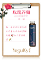 玫瑰 (6)