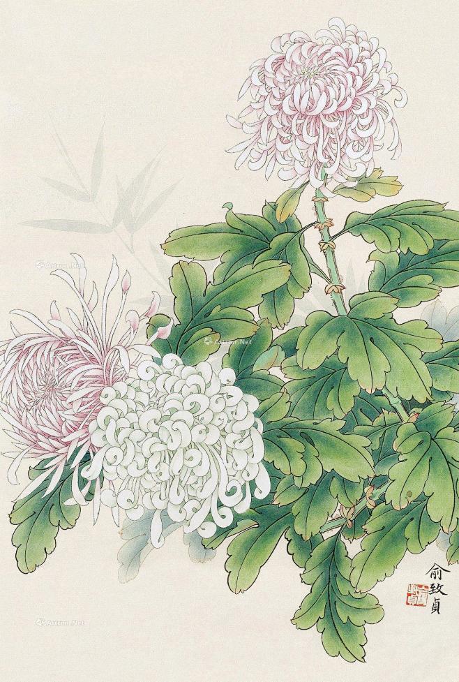 【菊花 镜片 纸本设色】拍卖品_图片_价...