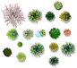 国际范园林景观平面图PSD素材PS分图层格式文件彩色平面图植物树-淘宝网