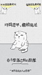 请理直气壮的使用这张手机壁纸好吗