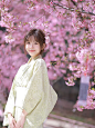 樱花掉落的速度是五秒|漫花庄园和服写真