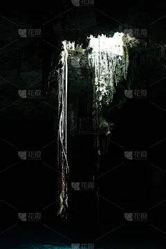 墨西哥地下洞穴Cenote的地面上悬挂着植物的长春藤
