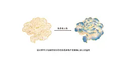 墨宽|专注白酒包装设计12年-古田路9号-品牌创意/版权保护平台