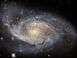 face on spiral galaxy at center. A spiral of bright star-forming regions and dark dust lanes