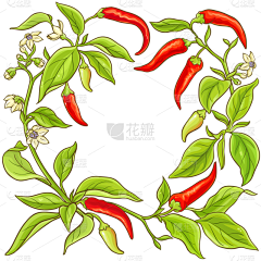 杰哥竟在右采集到手绘