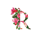 字母R #字体设计#