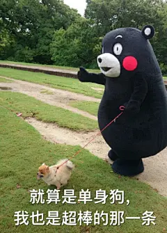 #熊本熊表情包# #熊本熊# #表情包# #熊本熊图片# #熊本熊图库#