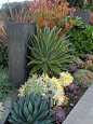 Live in California?!? You need need drought friendly gardens that look beautiful like these! California Friendly Design Ideas | Roger's Gardens: 