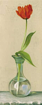 David col 玻璃瓶植物