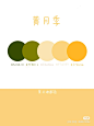 配色第八弹