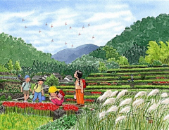 肚腩奶爸采集到居家