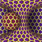 46458652_10157836564439186_5786450751744114688_n.jpg (800×800)