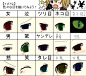 【眼睛画法】 (572)