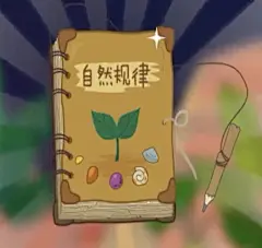洋葱学园•物理•万物运行的奥秘•自然规则•简笔画•插画•宝石•贝壳•笔•书本•草