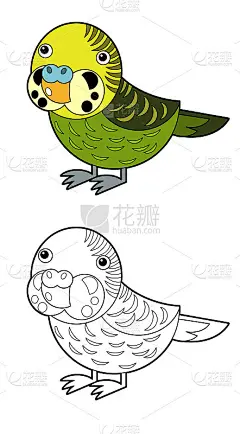 卡通素描画澳大利亚动物鸟鹦鹉在白色的背景