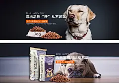 宠物饲料海报