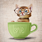 戴眼镜的小猫 A funny small cat in a big cup on a rustic background (poster 6x6) Illustration fine art giclée print.