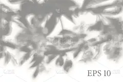 透明的天然樱花树枝阴影。光效果叠加。编织网。展示您的设计卡，海报，故事照片逼真的插图