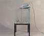 Tim Taylor - Domestic Erosion, 2003